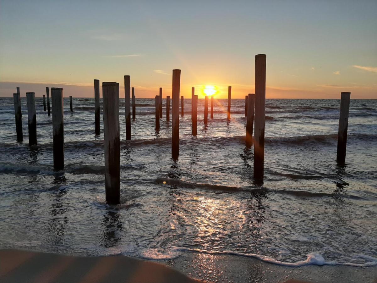 Boshuisje Petten Aan Zee Dış mekan fotoğraf