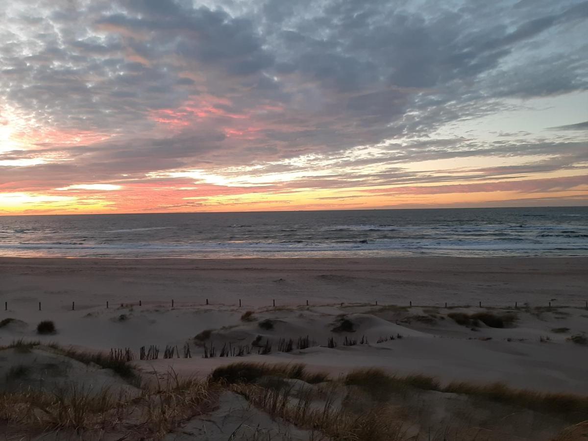 Boshuisje Petten Aan Zee Dış mekan fotoğraf